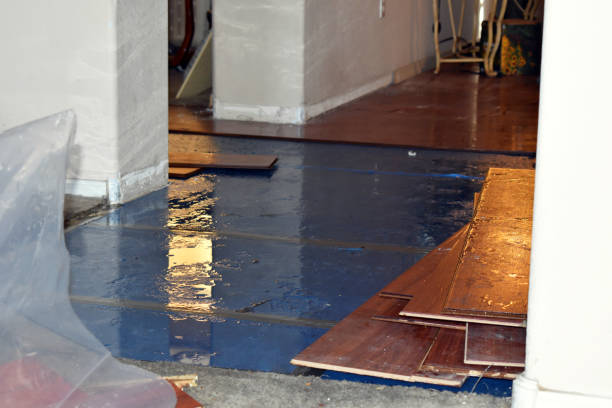 Professional Basement Flood Cleanup technician working in Vestaburg, MI